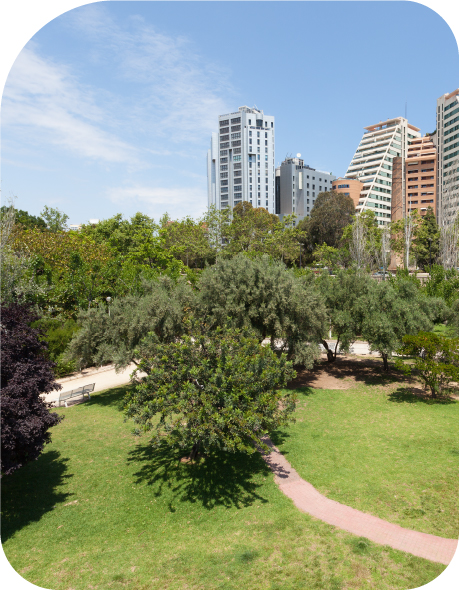 turia Interland School